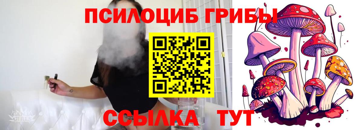 Ухта  Галлюциногенные грибы ЛСД  Вход с VPN  Псилоцибиновые грибы Psilocybine cubensis 